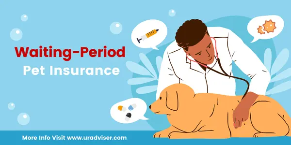 waiting period in pet insurance