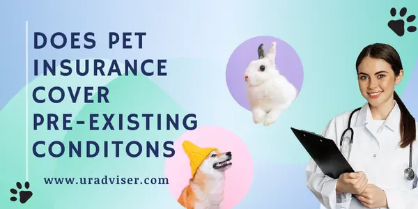 does pet insurance over pre-existing conditions?